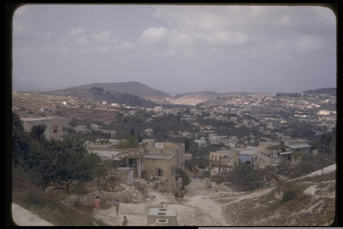 העיר צפת, 1950