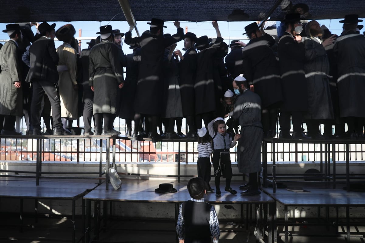 הרבי מתולדות אהרן הדליק על הגג; החסידים שרו מהגגות • צפו