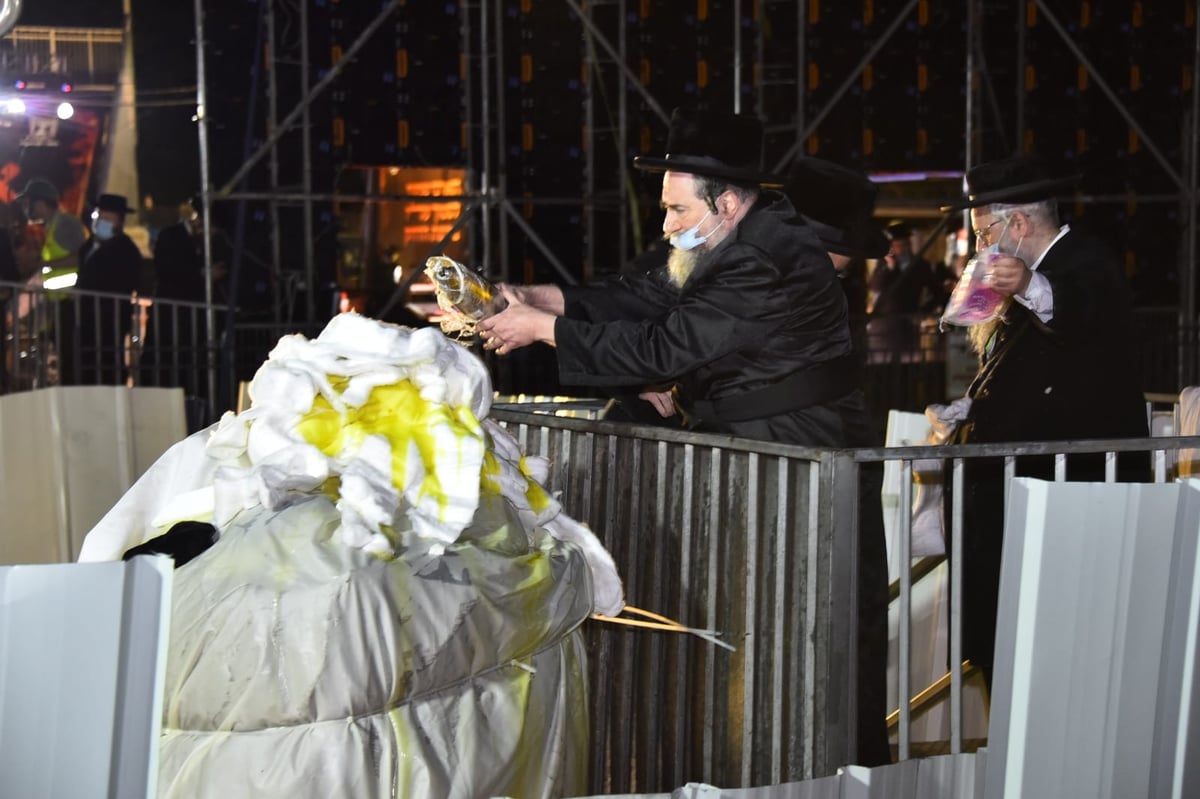 ההדלקה של האדמו"ר מבאיאן במירון • צפו