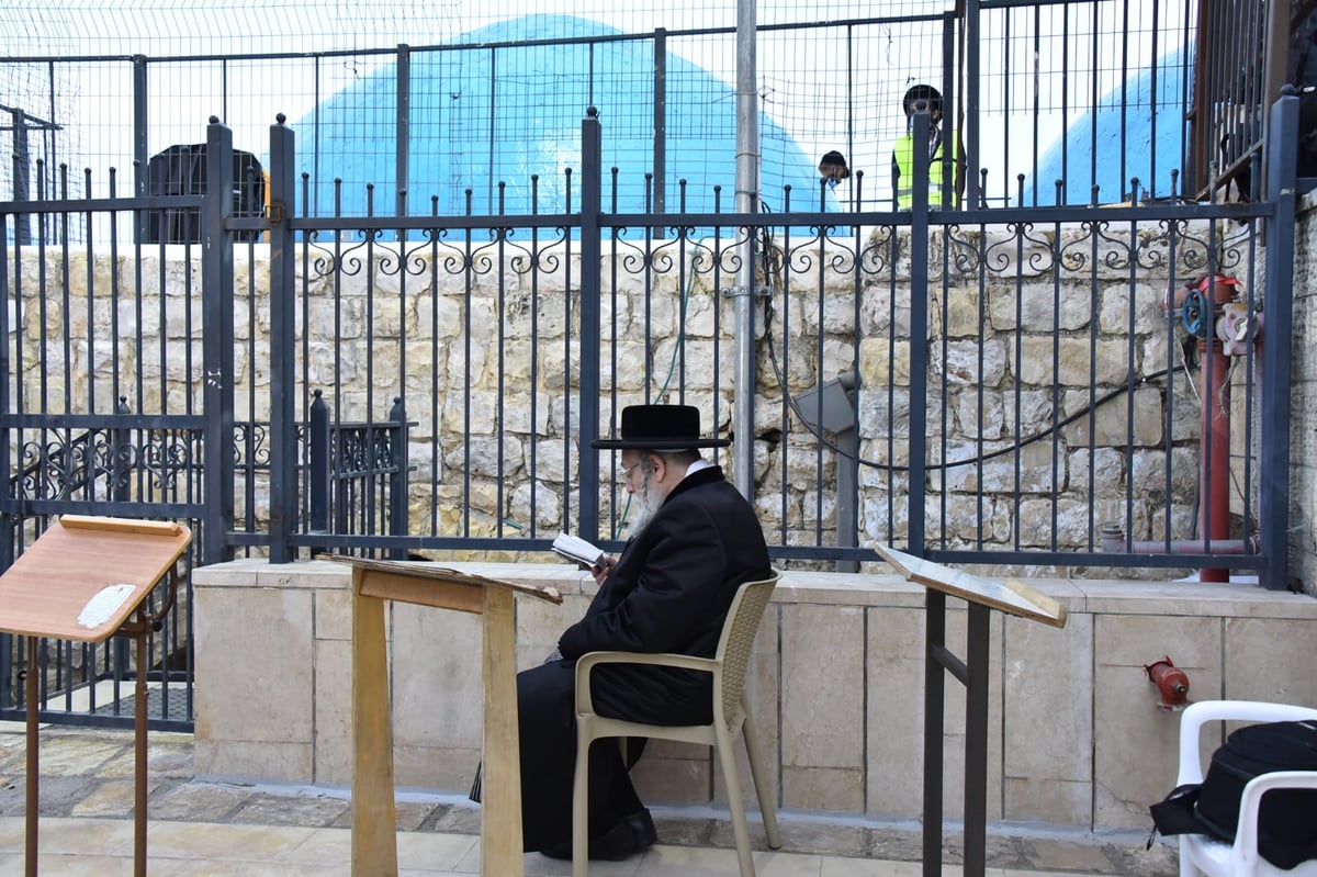 ההדלקה של האדמו"ר מבאיאן במירון • צפו