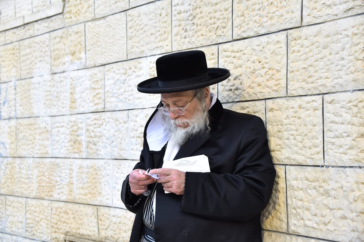 ההדלקה של האדמו"ר מבאיאן במירון • צפו