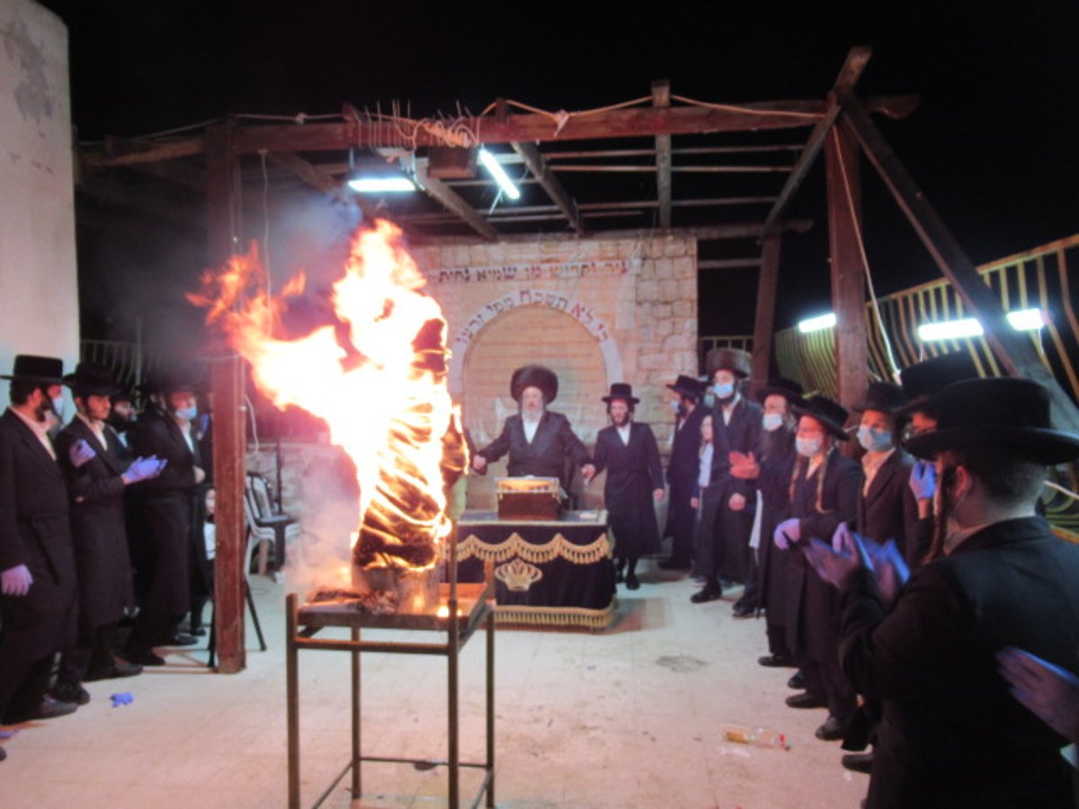 הדלקה ו'חלאקה': ל"ג בעומר בחצר הקודש ביאלה ב"ב