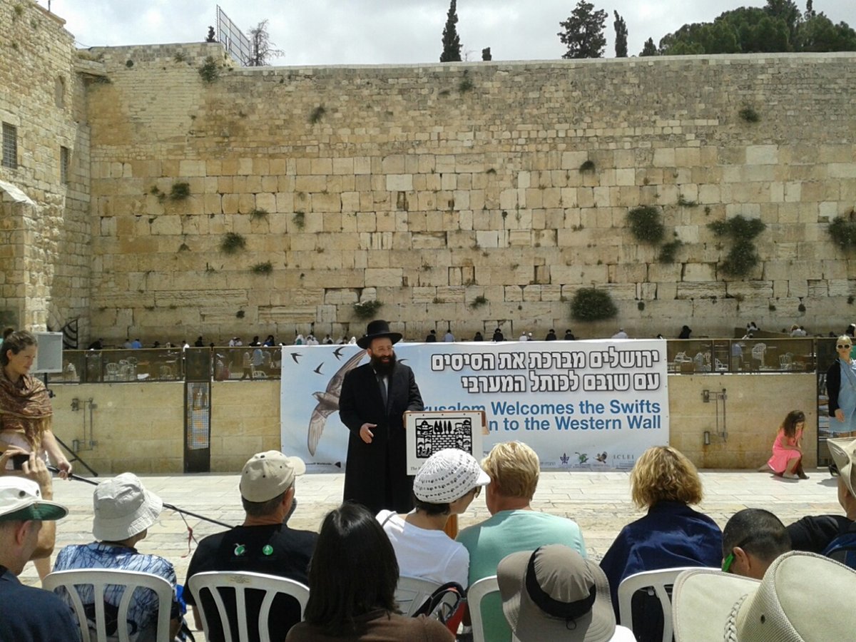 רב הכותל מברך את הסיסים בטקס ב-2015