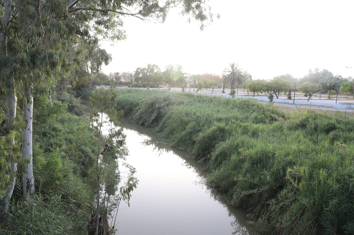 צפו: החמסין הכבד לא מנע מהבחורים לטייל ב'גני יהושע'