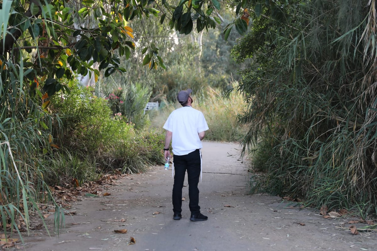 צפו: החמסין הכבד לא מנע מהבחורים לטייל ב'גני יהושע'