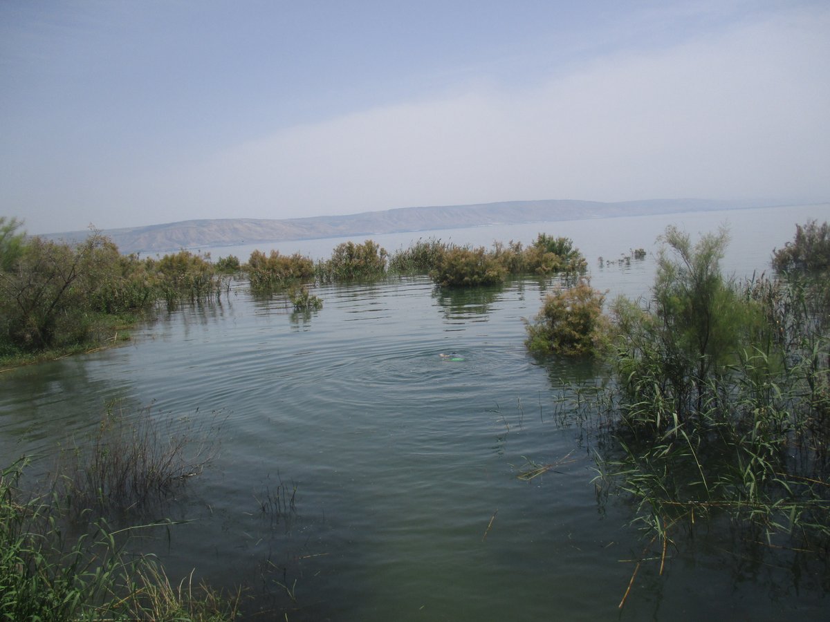 מרהיב: כך נראית הכנרת מלאה עד גדותיה