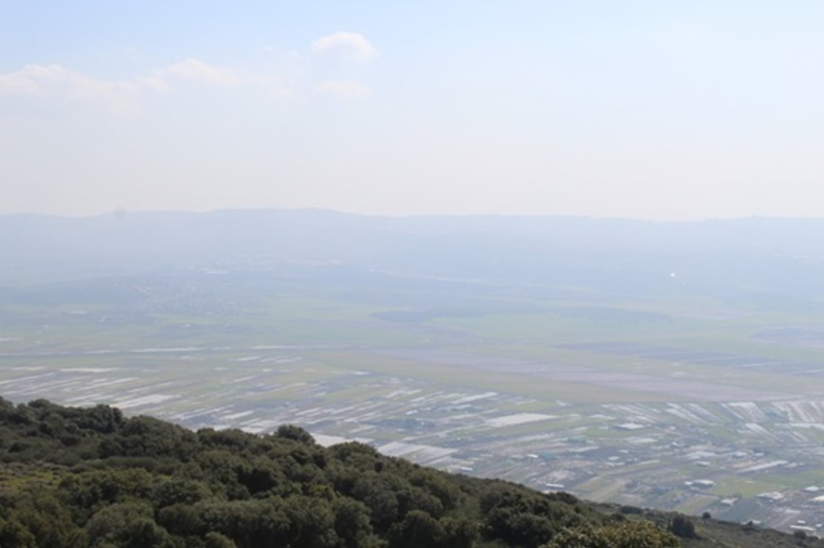 משל 'גן המבוכה' של הרמח"ל - בתמונות