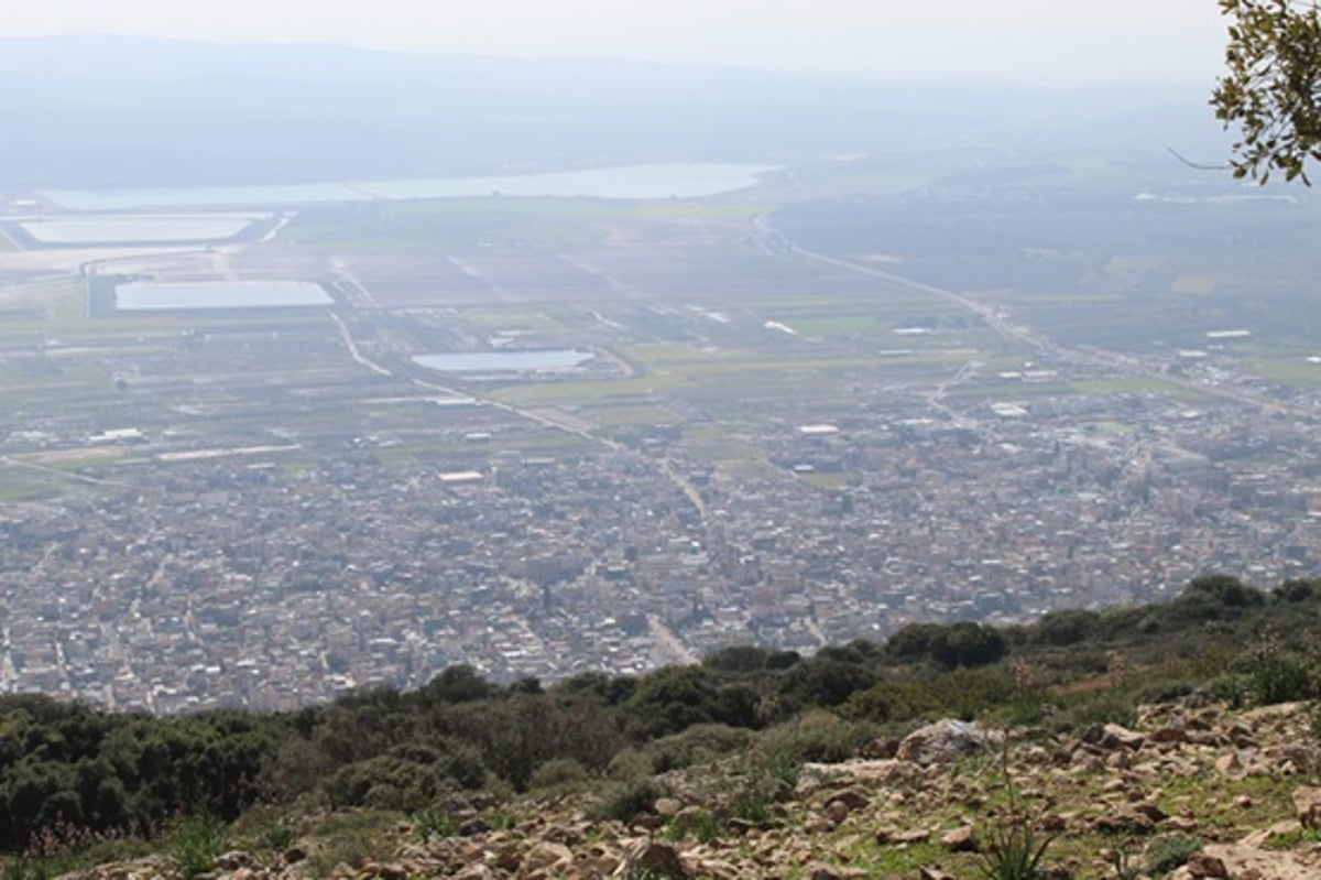 משל 'גן המבוכה' של הרמח"ל - בתמונות