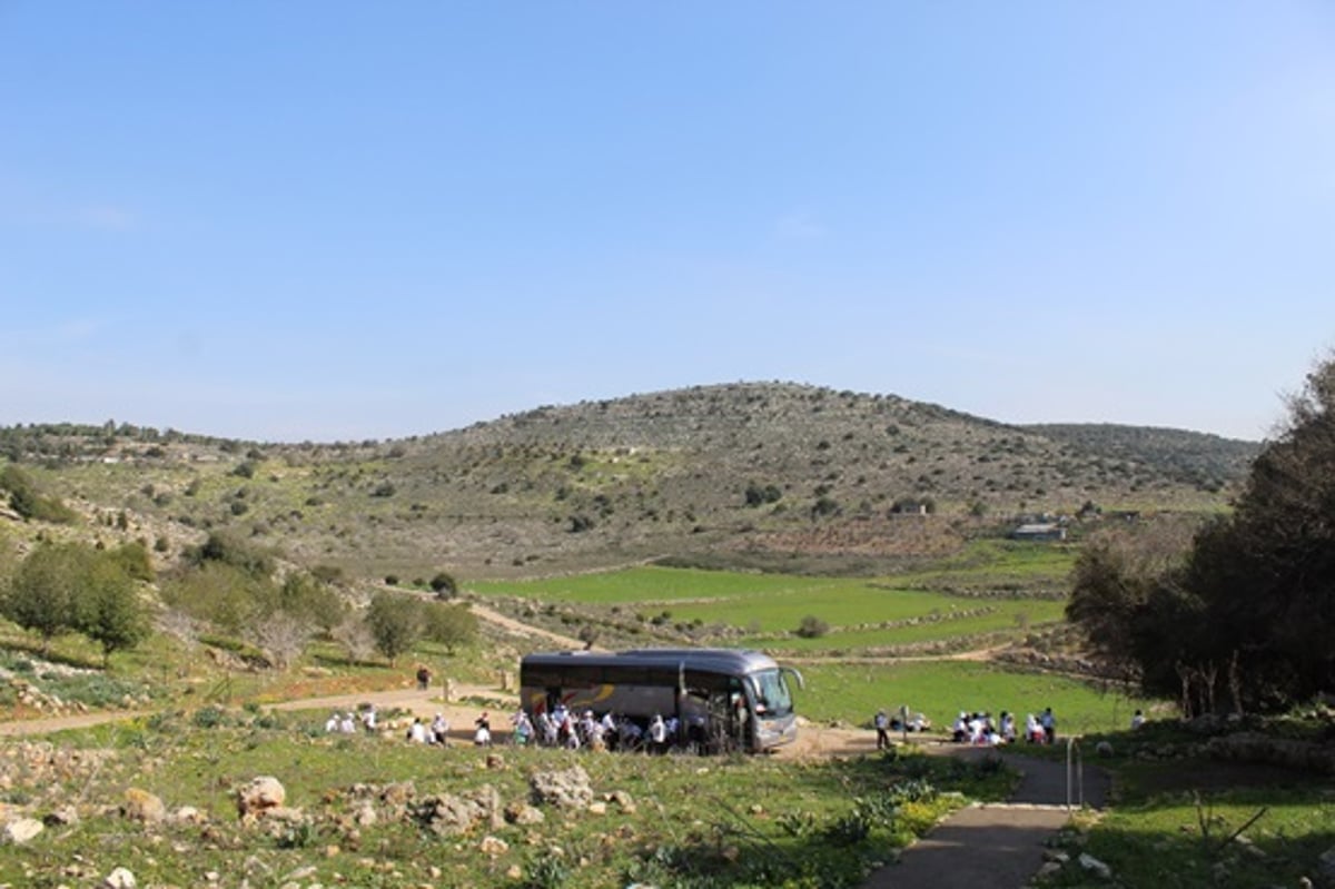 משל 'גן המבוכה' של הרמח"ל - בתמונות