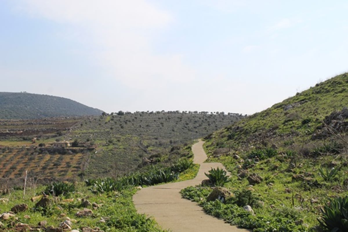 משל 'גן המבוכה' של הרמח"ל - בתמונות