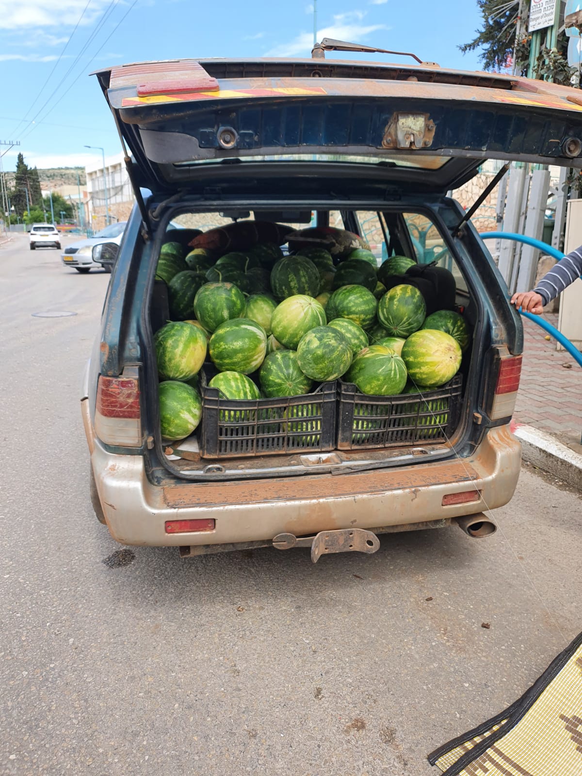 אב ובנו גנבו טון אבטיחים מטירת צבי ונתפסו