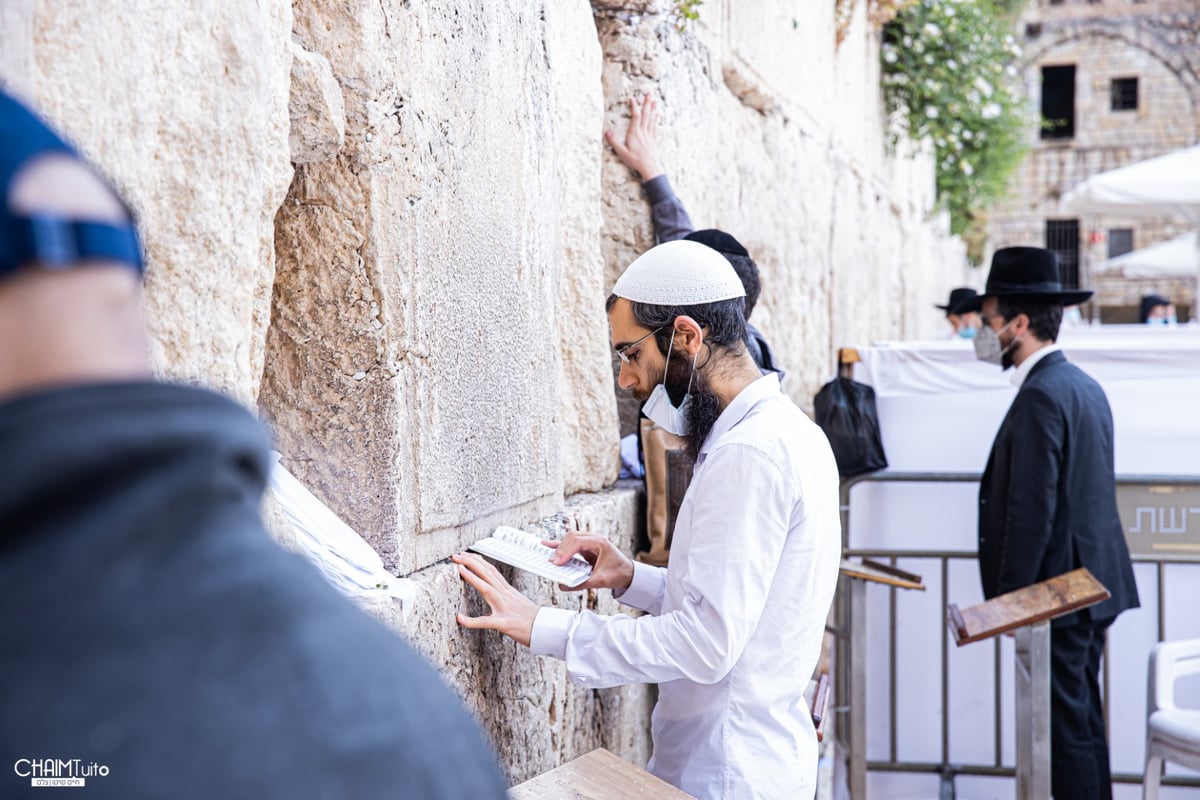 ערב שבועות: צפו בגלריה מהכותל המערבי