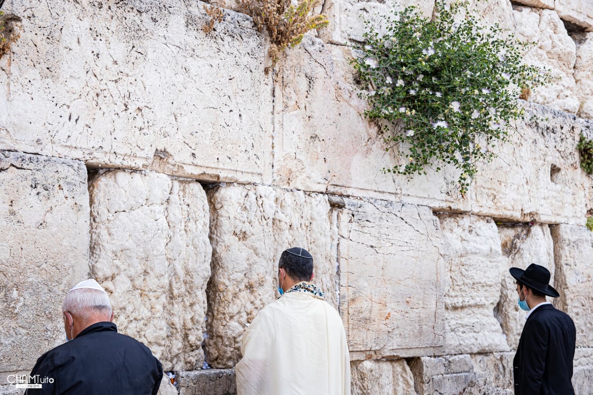 ערב שבועות: צפו בגלריה מהכותל המערבי