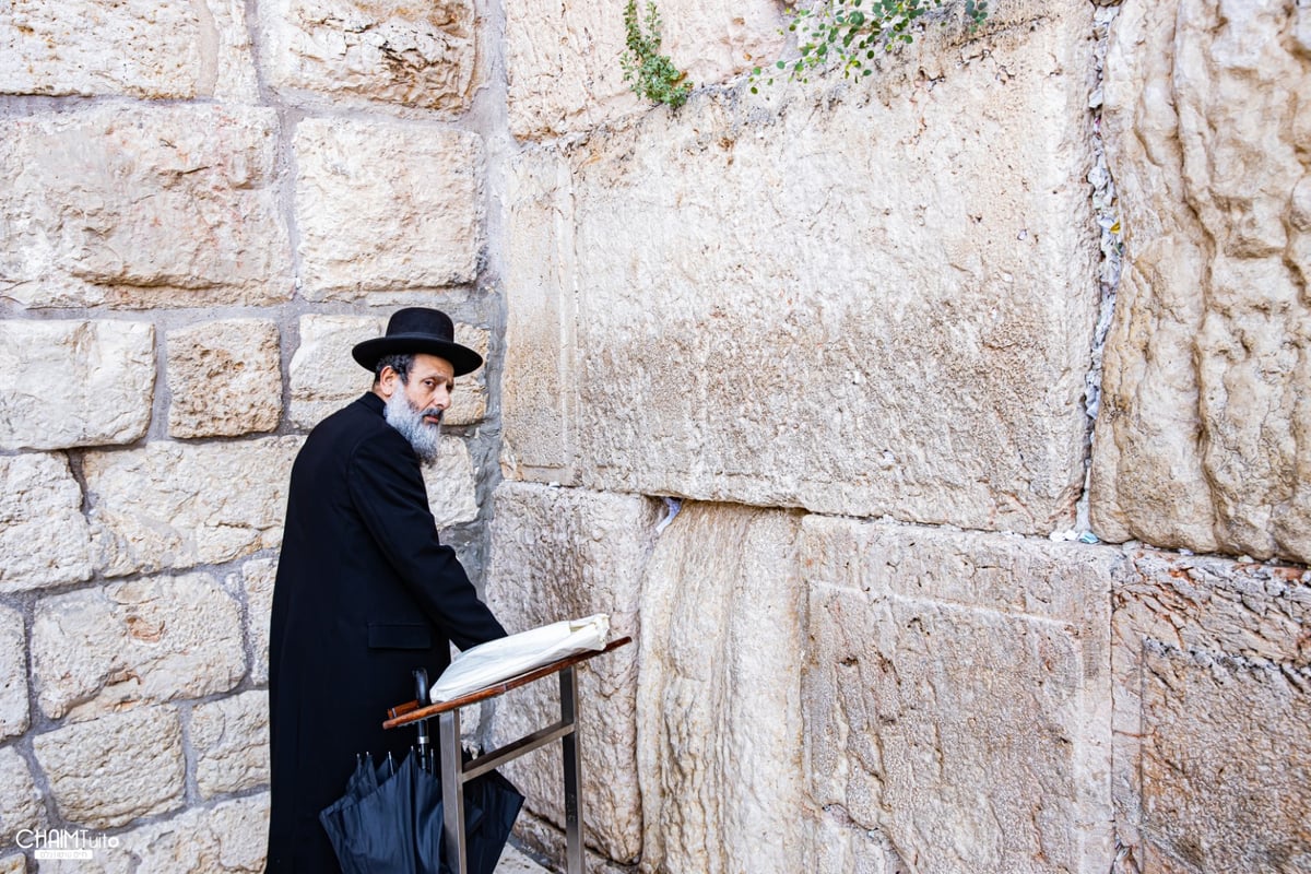 ערב שבועות: צפו בגלריה מהכותל המערבי