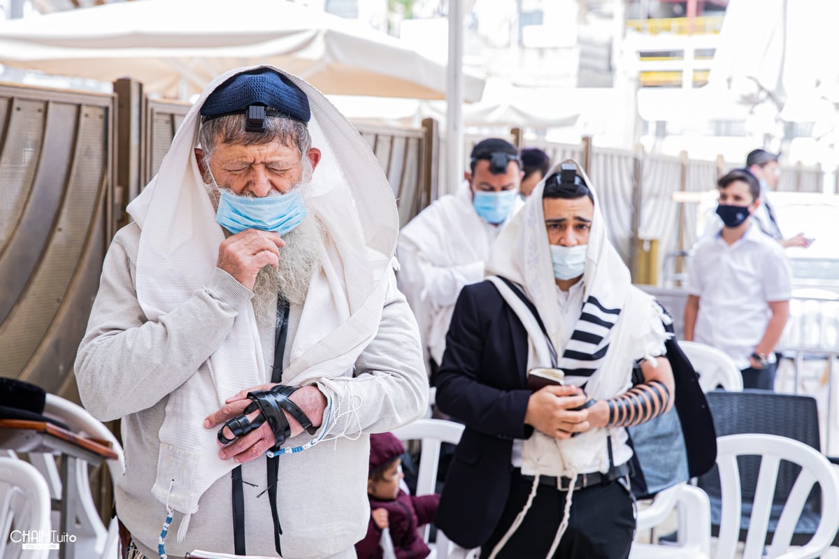 ערב שבועות: צפו בגלריה מהכותל המערבי