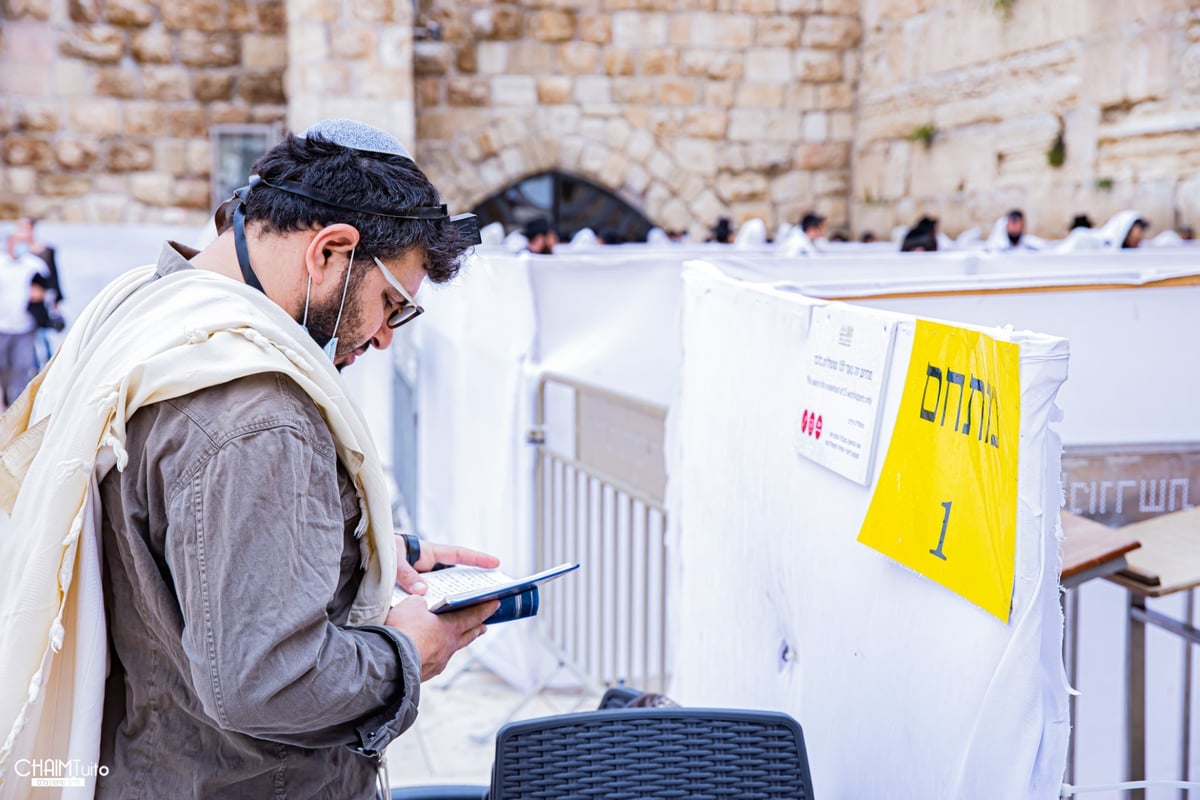 ערב שבועות: צפו בגלריה מהכותל המערבי