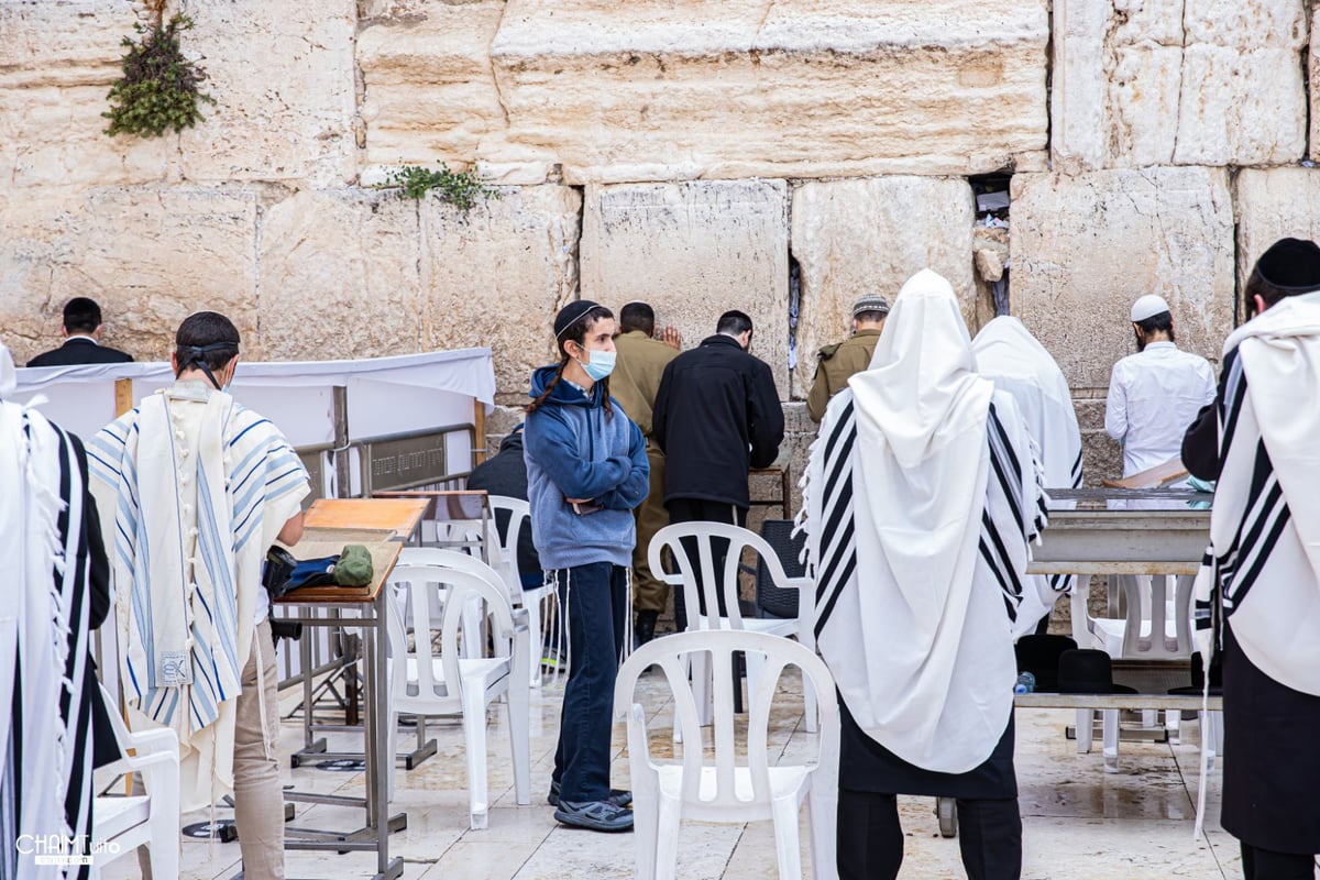 ערב שבועות: צפו בגלריה מהכותל המערבי