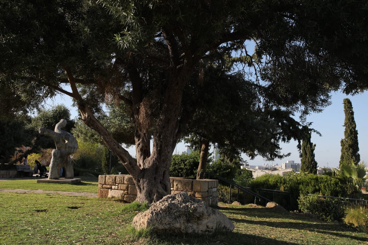 בין בני ברק לרמת גן: "טיול קורונה בהר הבנים"