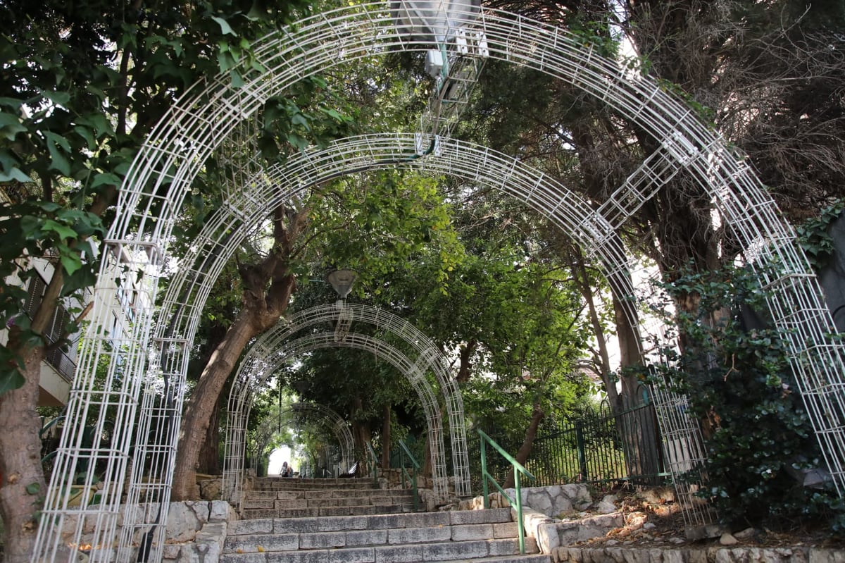 בין בני ברק לרמת גן: "טיול קורונה בהר הבנים"