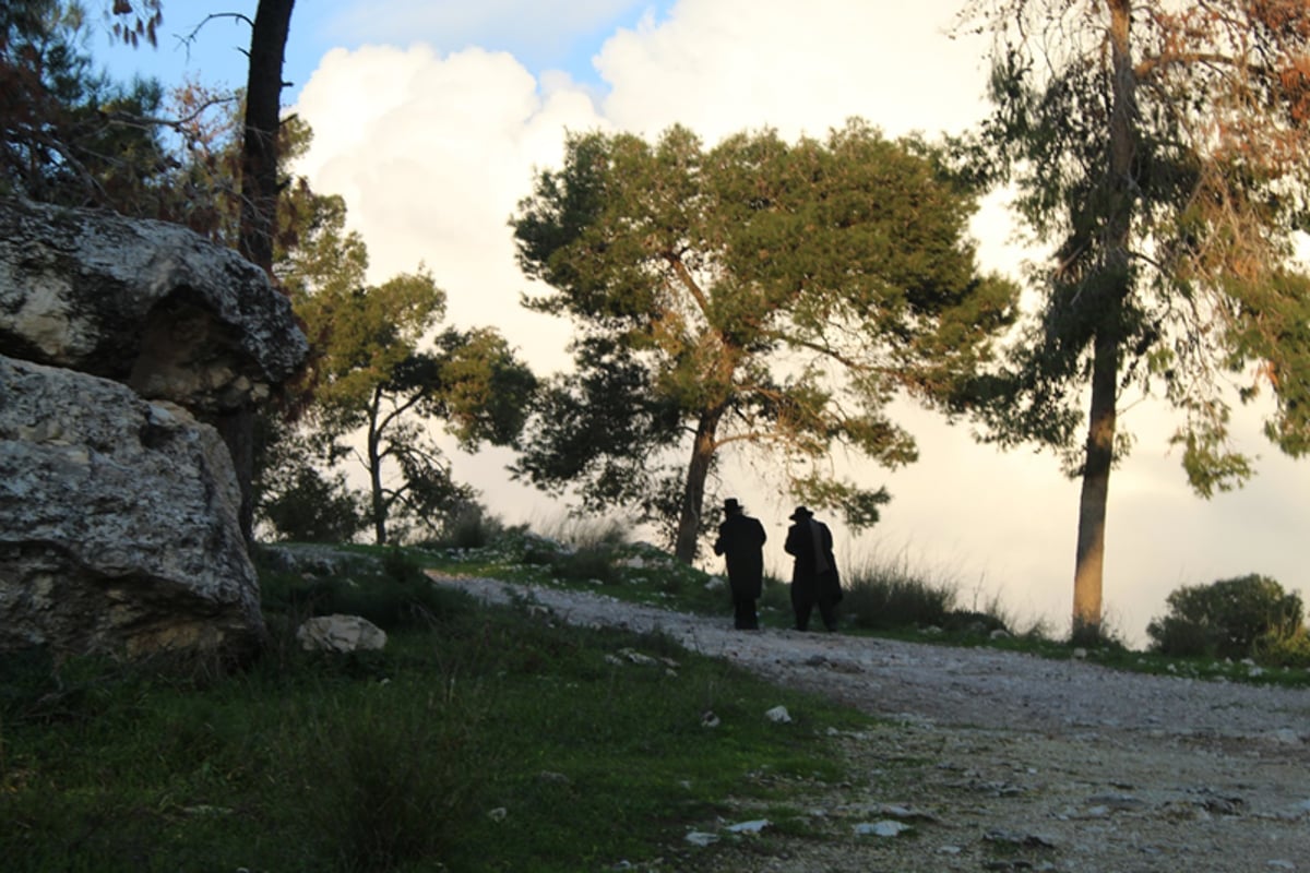 ניסים בלאק ומקורב מתבודדים ביערות 'קבר שמשון'