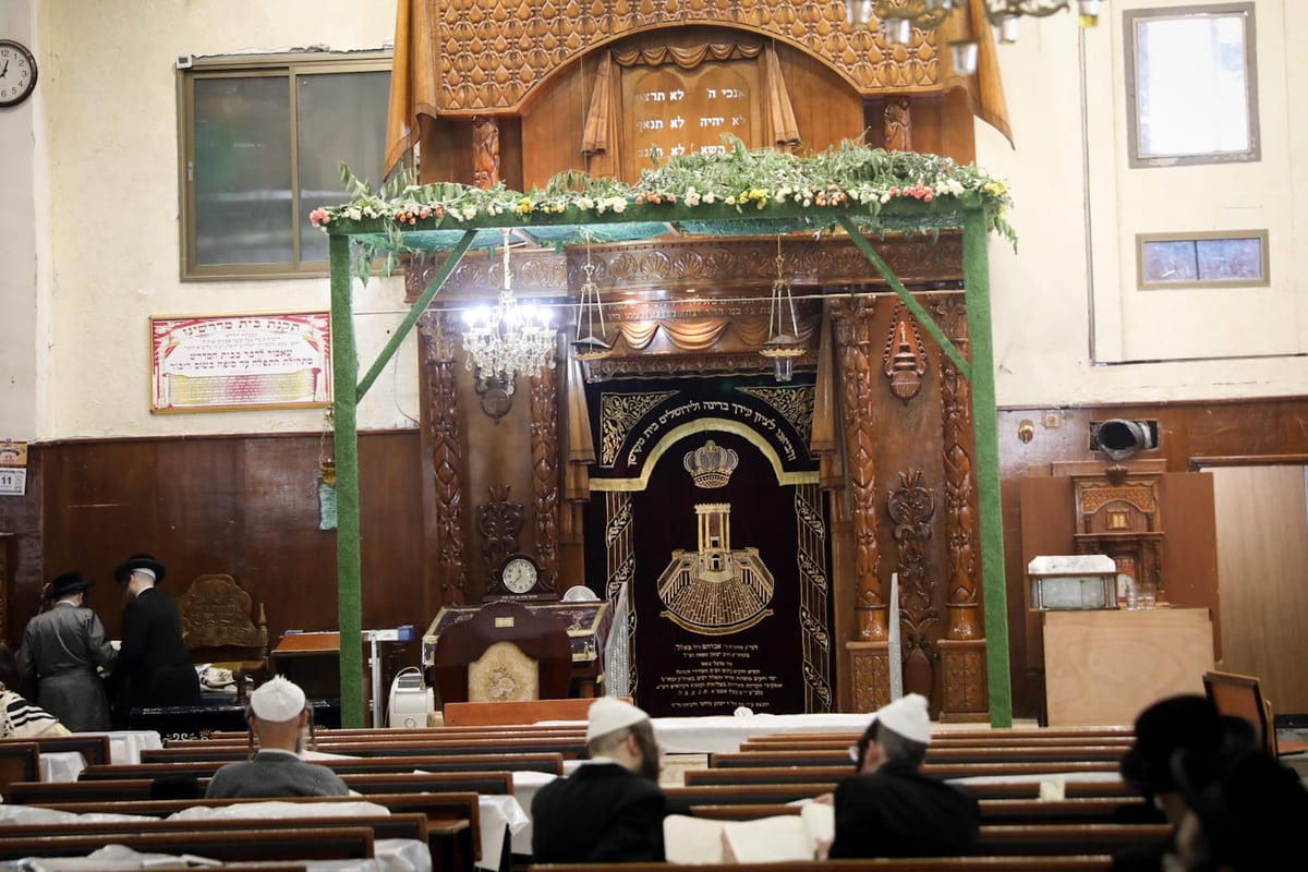 תיעוד ססגוני: הירושלמים מצטיידים בפרחים