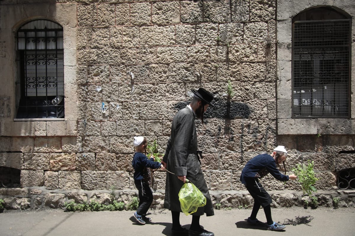 תיעוד ססגוני: הירושלמים מצטיידים בפרחים