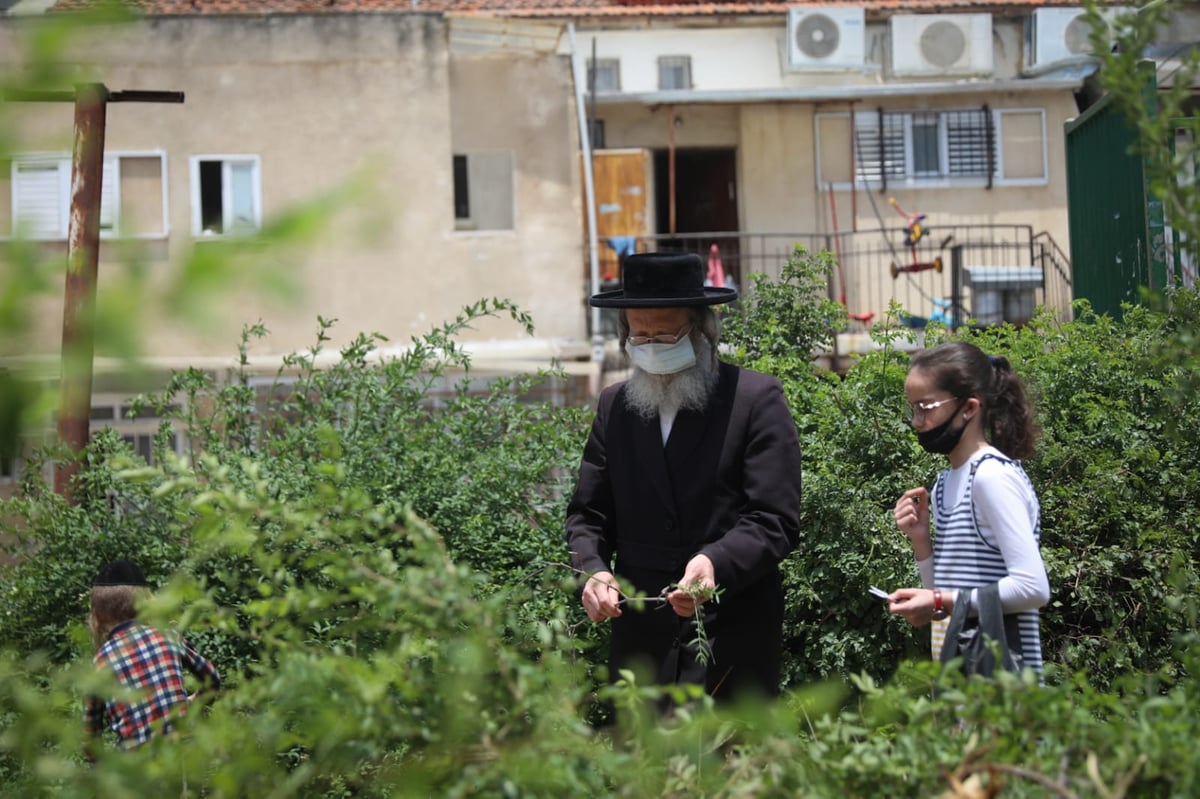 תיעוד ססגוני: הירושלמים מצטיידים בפרחים