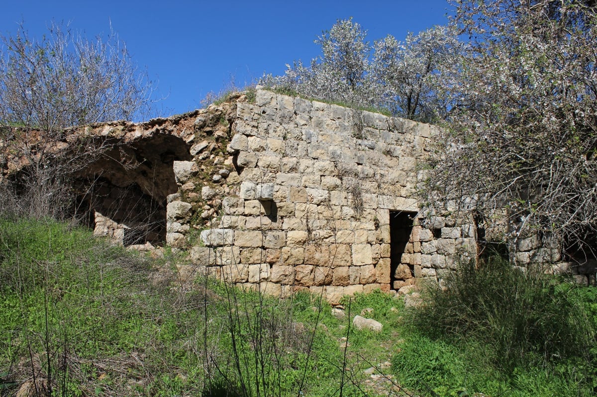 חוּרבַת חָנוֹת; מעיינות, מערה וחורשה עם דיון הלכתי