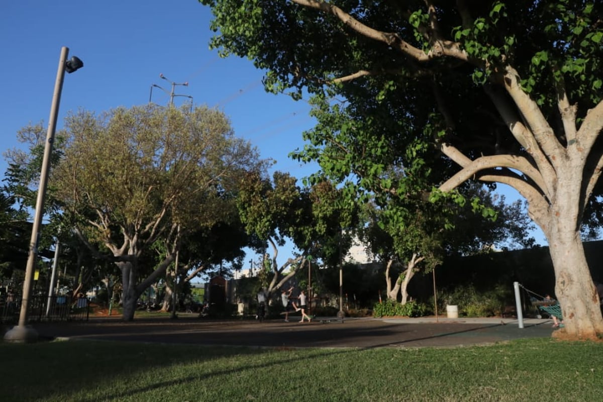 סמוך לגשר המפורסם • צפו בגלריה הקיצית