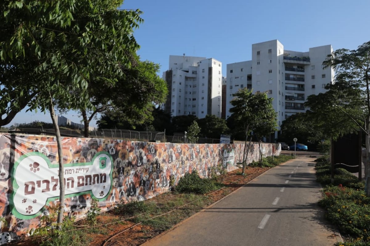 סמוך לגשר המפורסם • צפו בגלריה הקיצית