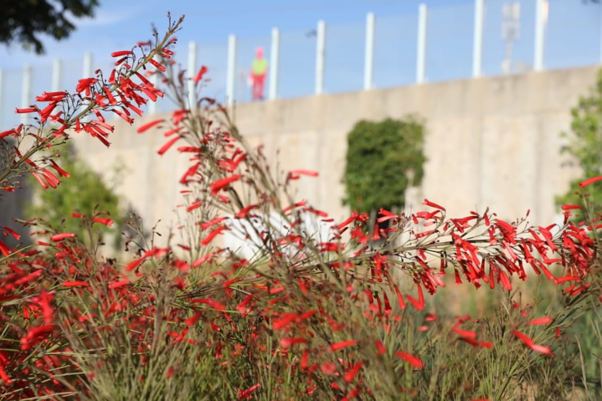 סמוך לגשר המפורסם • צפו בגלריה הקיצית