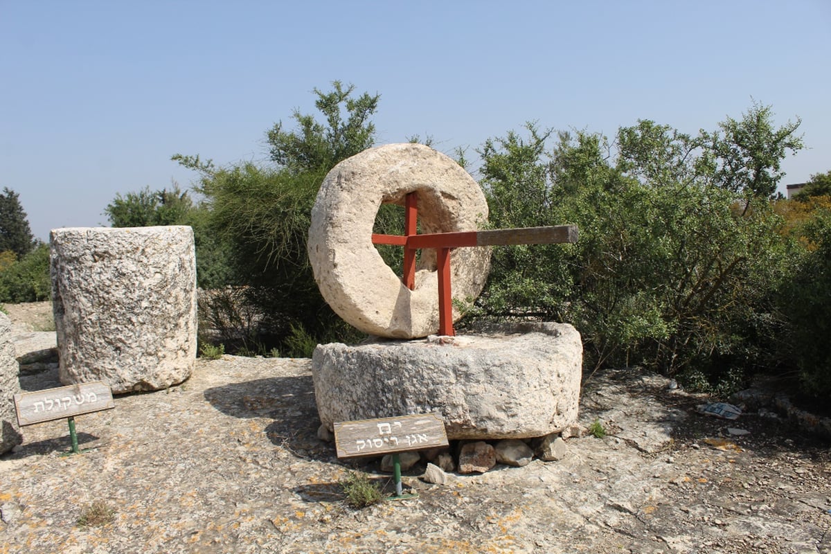 הקבר המסתורי החצוב בסלע - ותעלומת השלדים