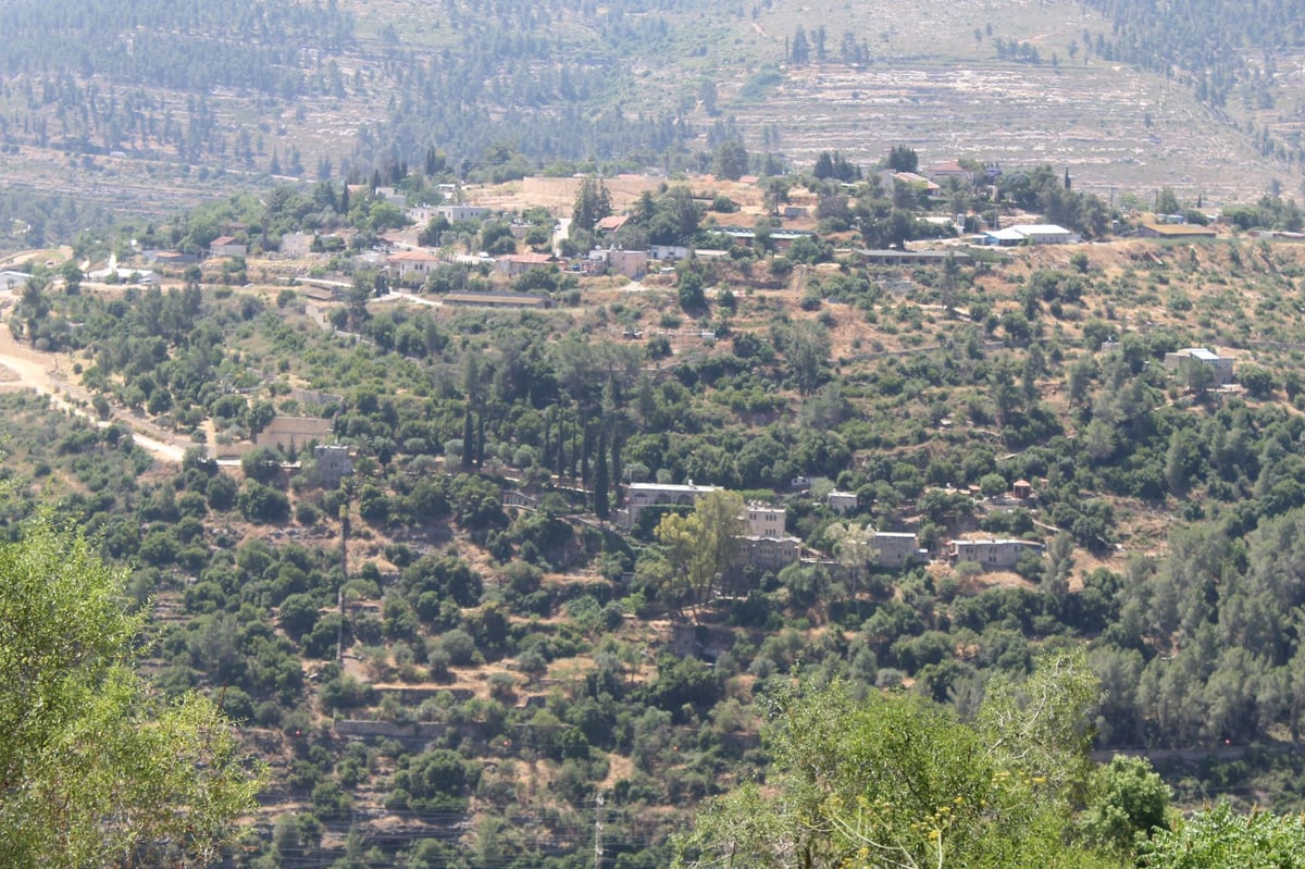 תלמודי התורה והחיידרים החלו את עונת הטיולים!