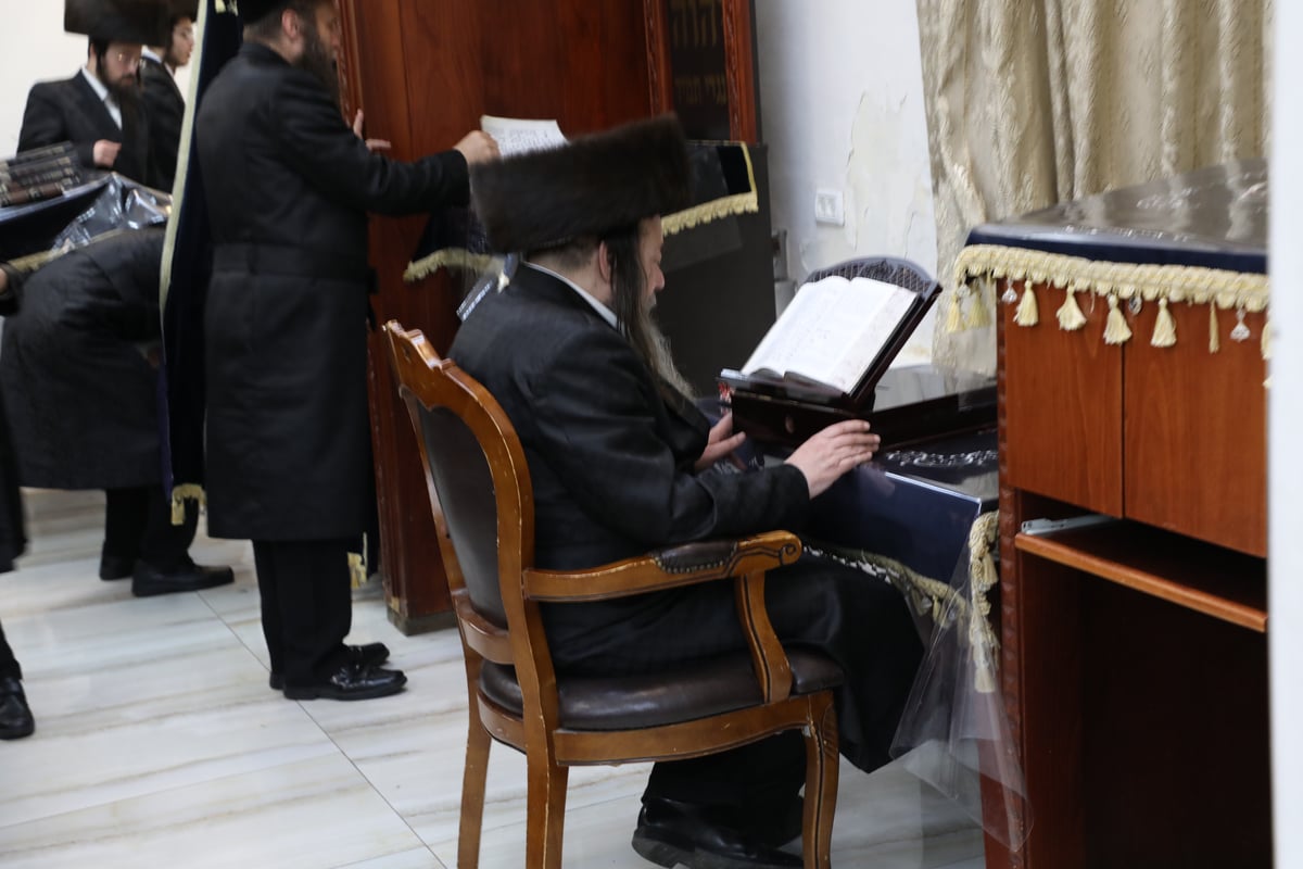 בזוועהיל חגגו שבת שבע ברכות לנכדת האדמו"ר