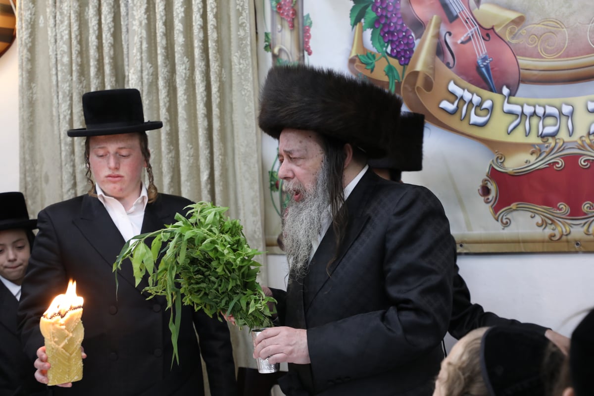 בזוועהיל חגגו שבת שבע ברכות לנכדת האדמו"ר