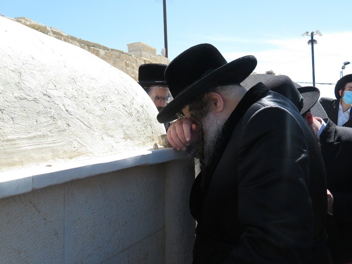 ב'מודז'יץ' ציינו 14 שנים לפטירת האדמו"ר בעל ה'נחלת דן'