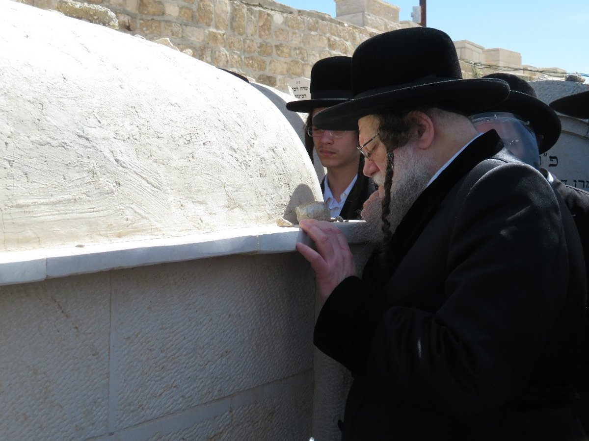 ב'מודז'יץ' ציינו 14 שנים לפטירת האדמו"ר בעל ה'נחלת דן'