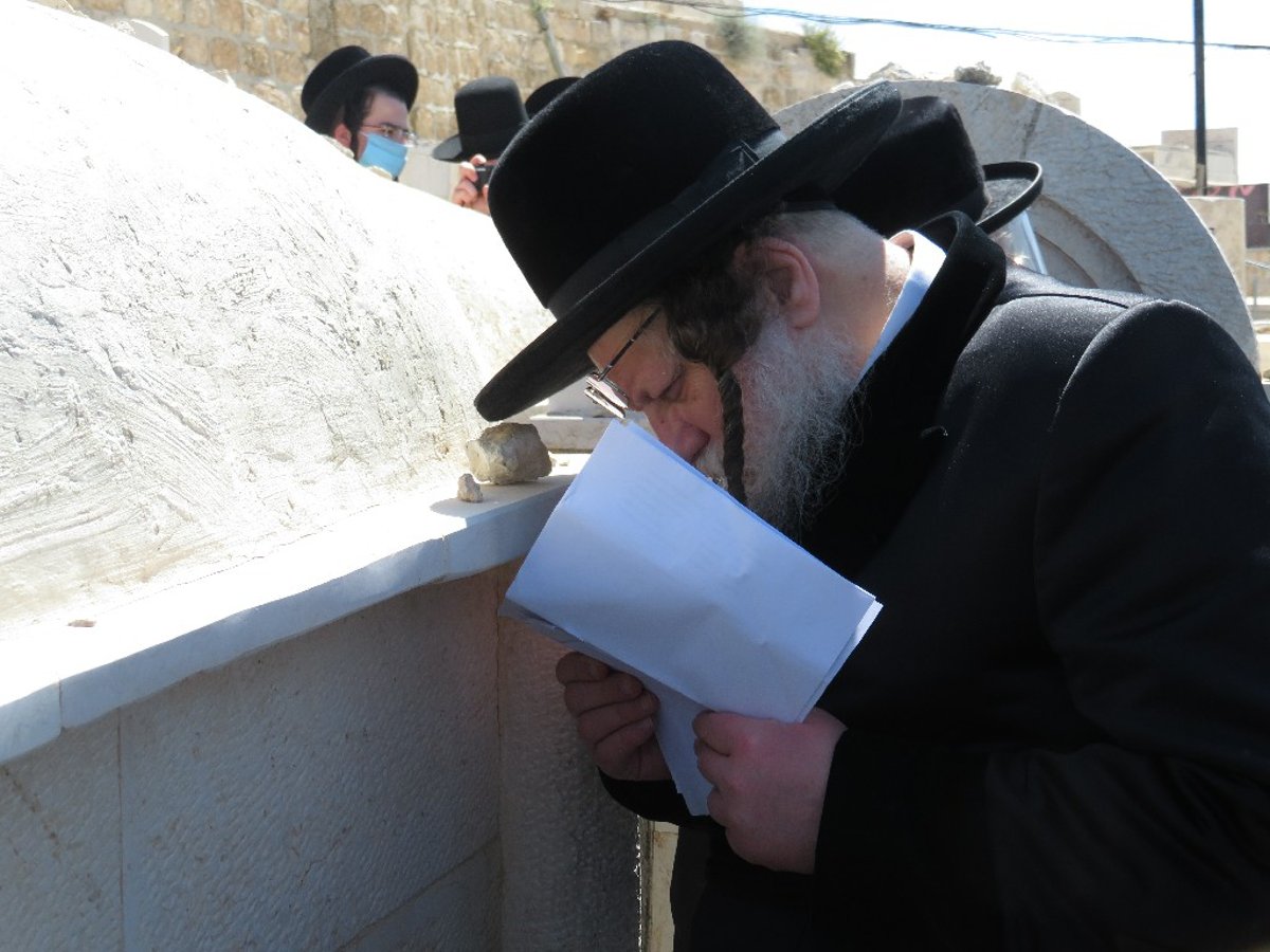 ב'מודז'יץ' ציינו 14 שנים לפטירת האדמו"ר בעל ה'נחלת דן'