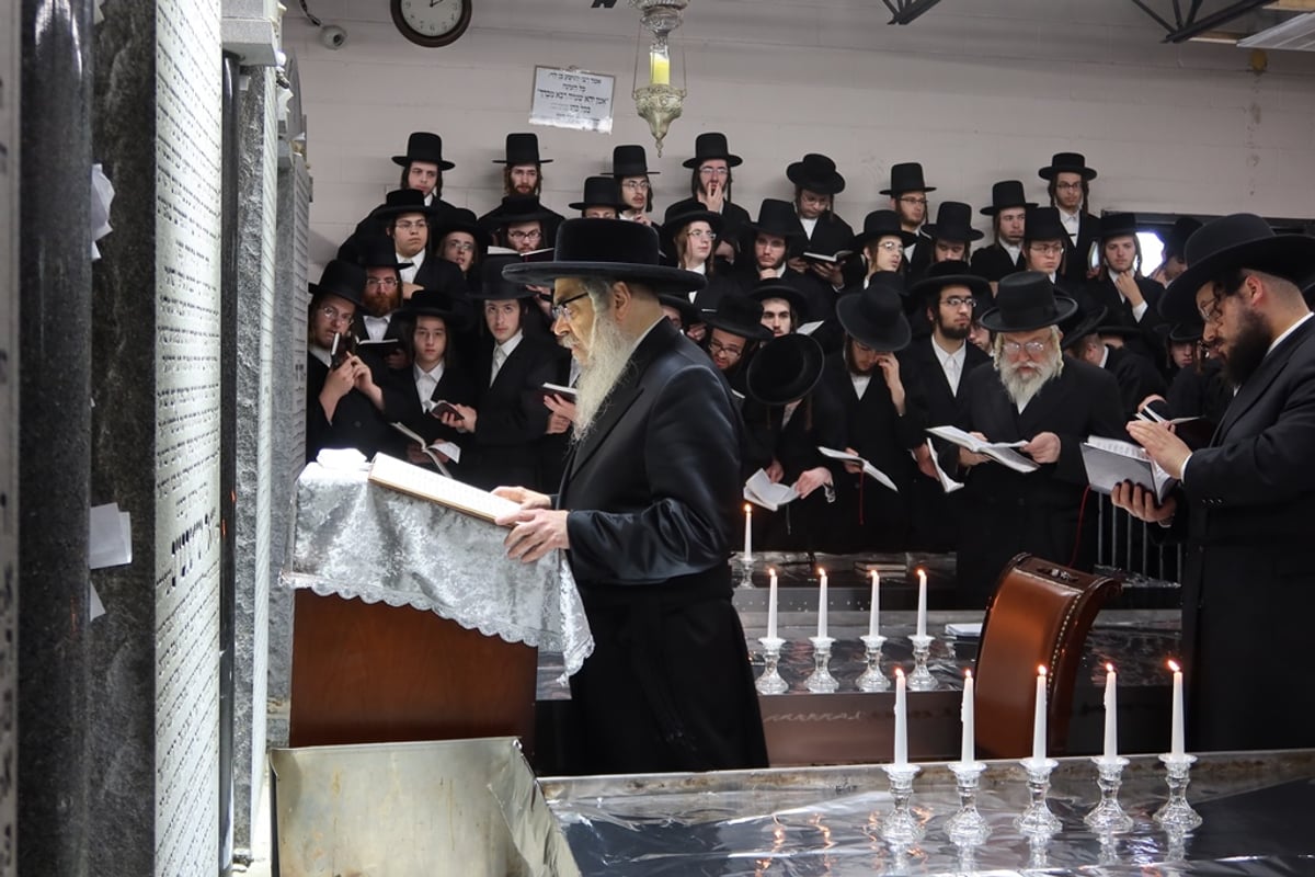 אלפים בשמחת החתונה לנכדת הרבי מסאטמר • תיעוד