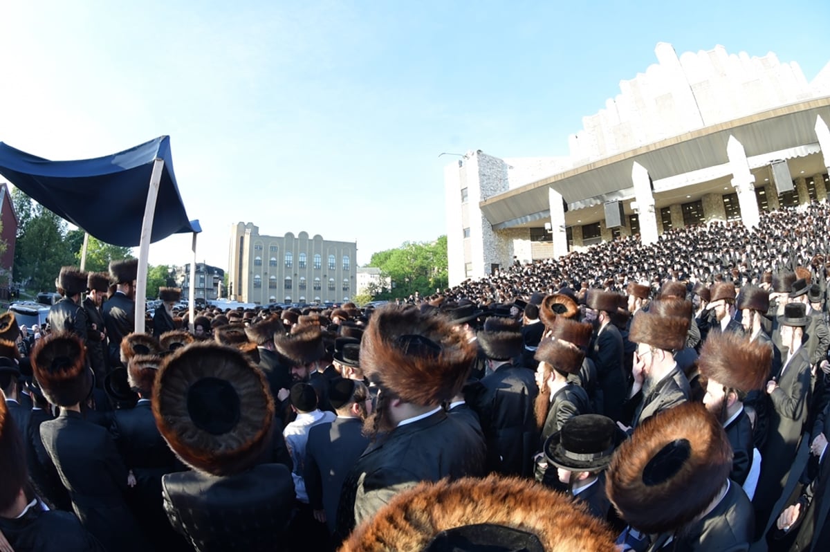 אלפים בשמחת החתונה לנכדת הרבי מסאטמר • תיעוד