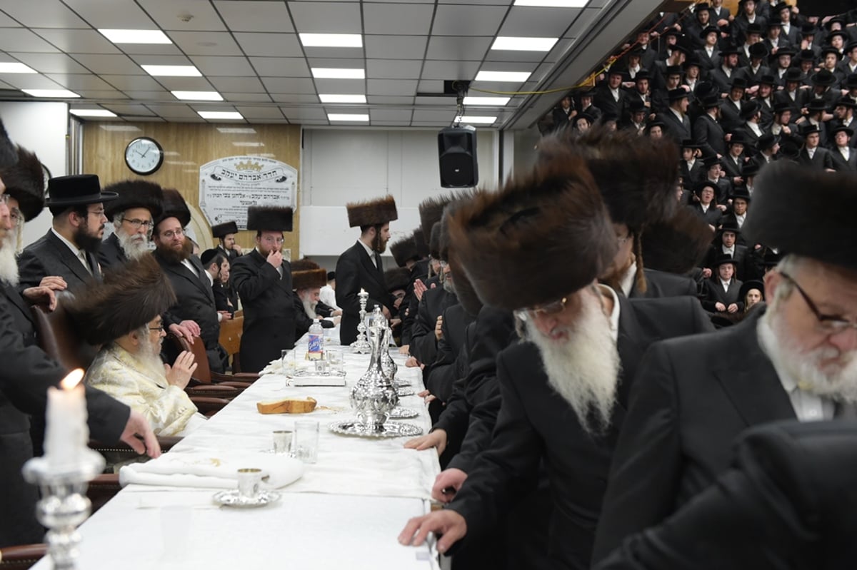 אלפים בשמחת החתונה לנכדת הרבי מסאטמר • תיעוד