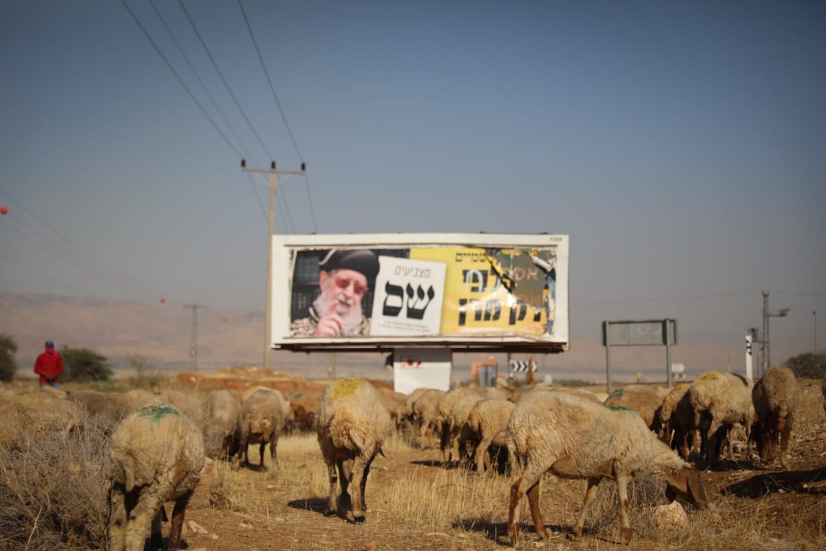 ריבונות או מדינה פלסטינית? סיור מצולם בשטח