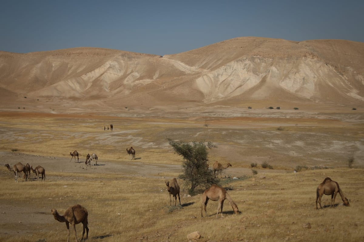 ריבונות או מדינה פלסטינית? סיור מצולם בשטח