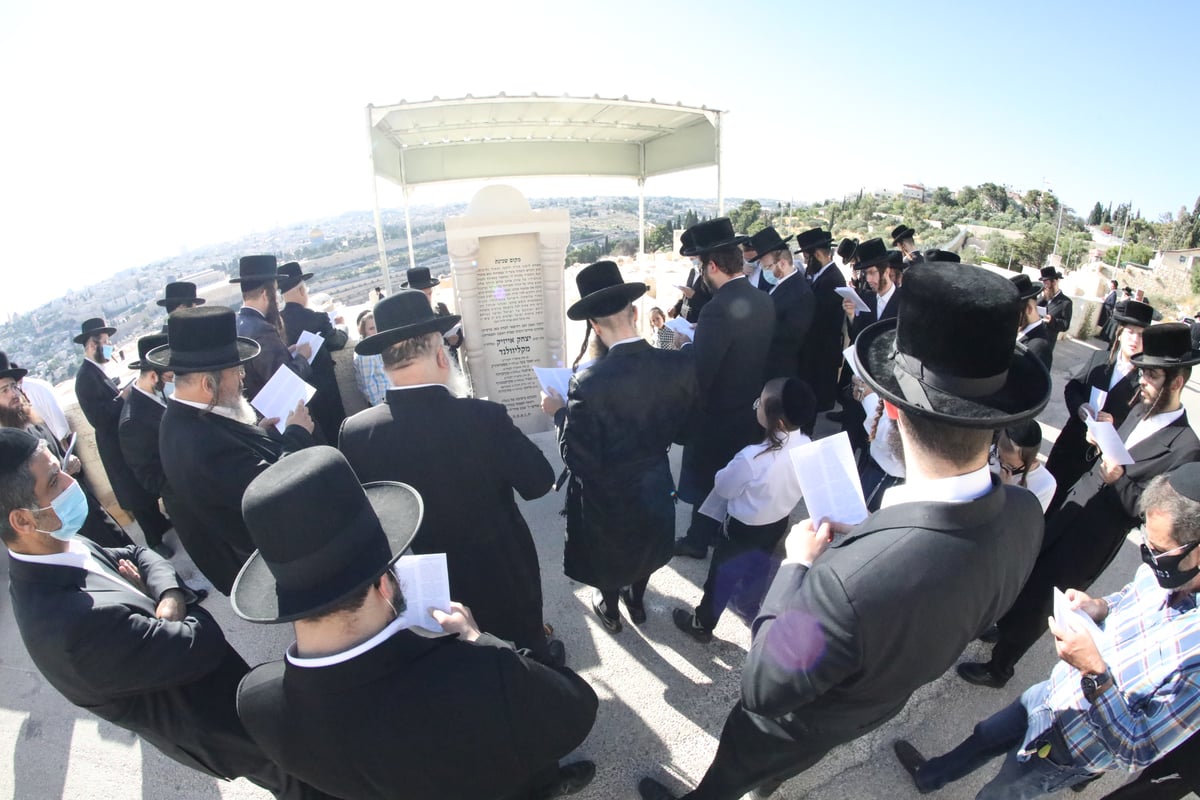 בראשות הרבי: בקליוולנד ערכו מעמד הקמת המצבה