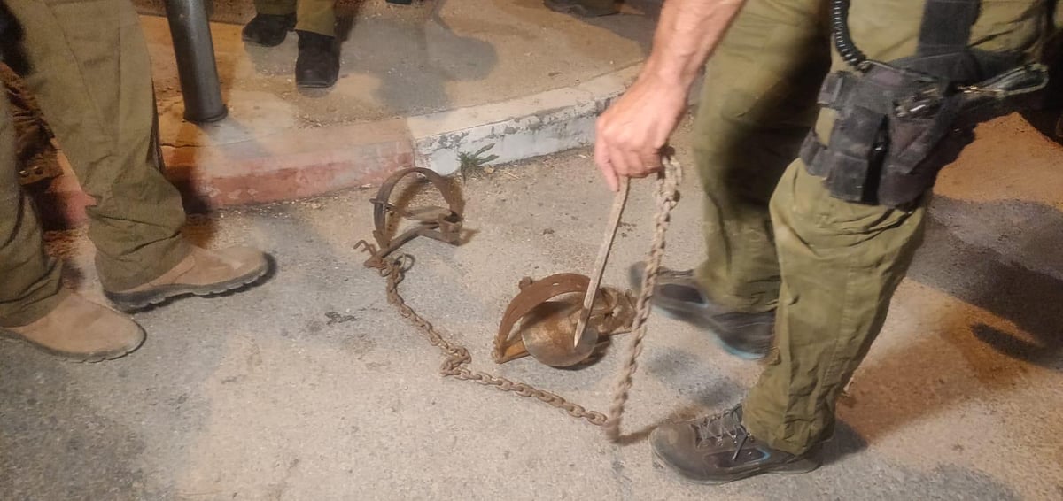 אחרי התעללות פלסטינית אכזרית: בעלי החיים ניצלו