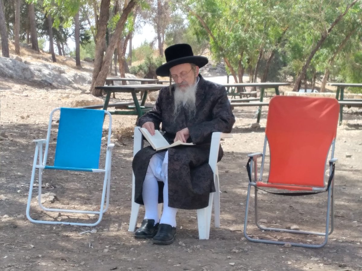 הרבי מ'קאליש' יצא ל'נאות דשא' ברחבי היער