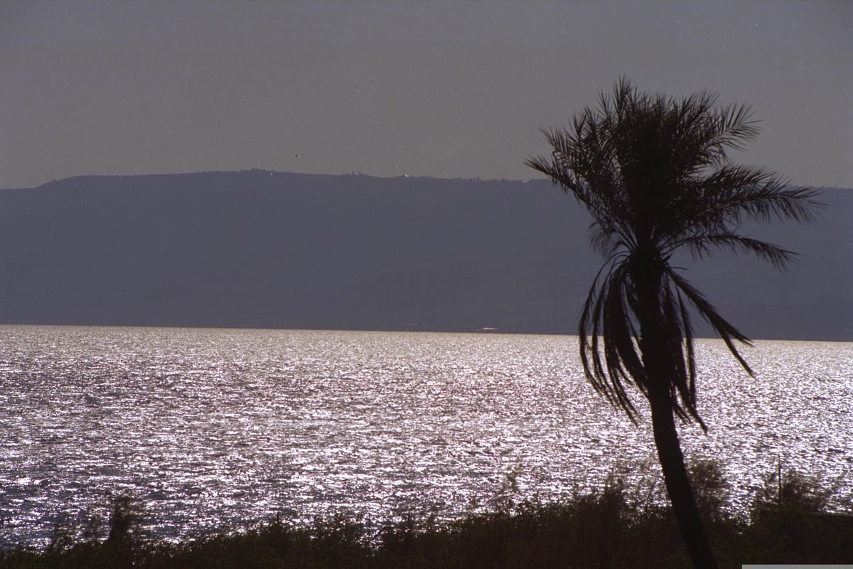 הכנרת בשנת 2002