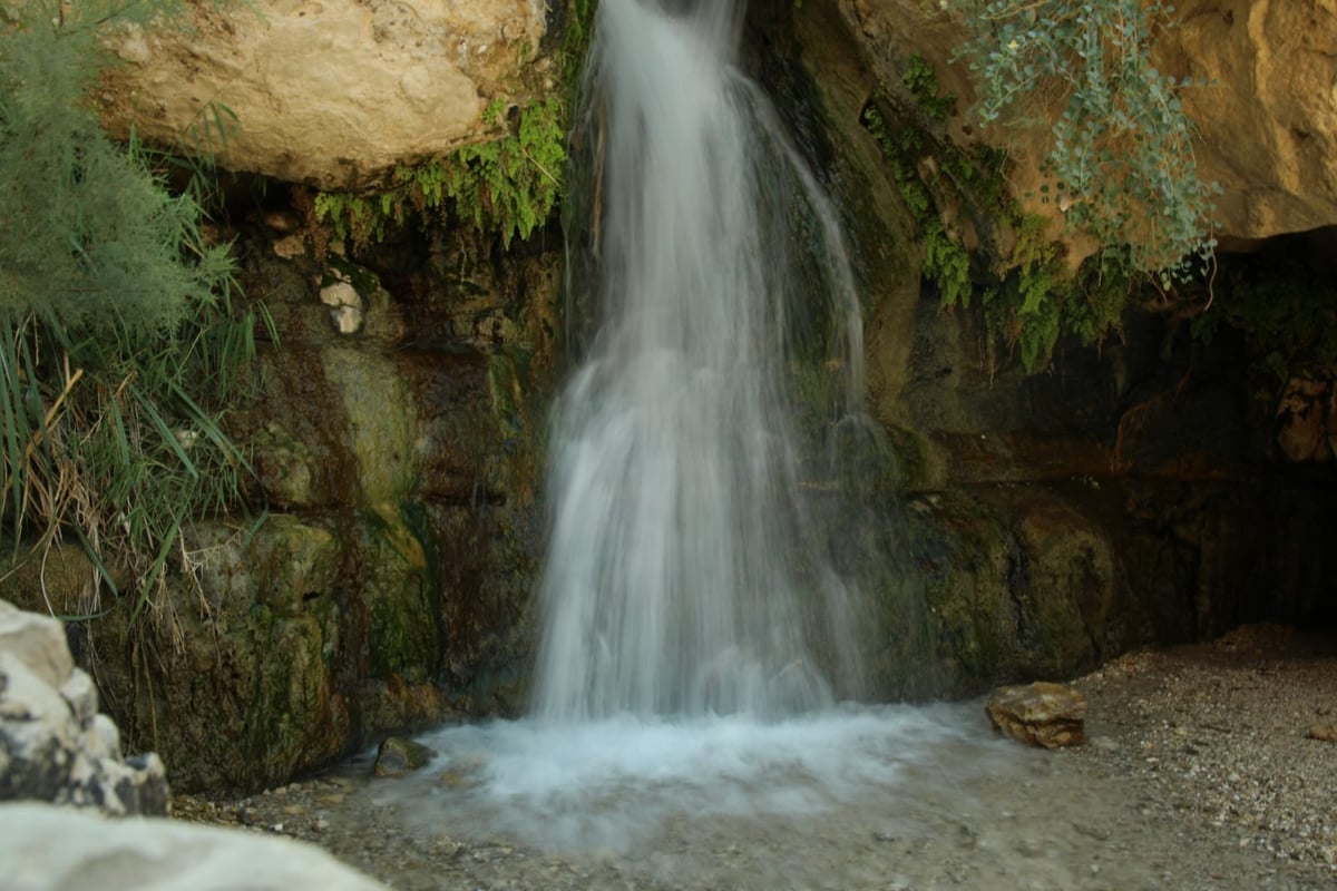 טיול דרך המצלמה לים המלח והנחלים באזור