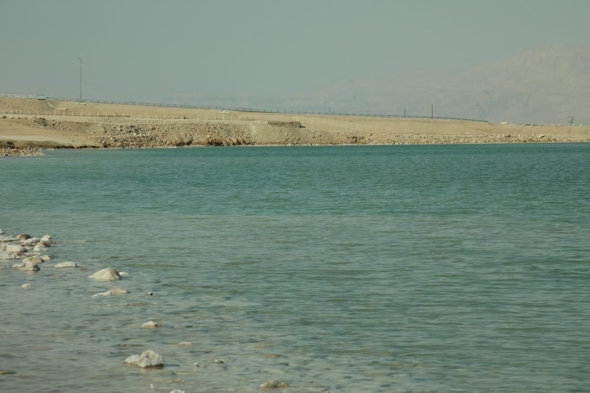 טיול דרך המצלמה לים המלח והנחלים באזור