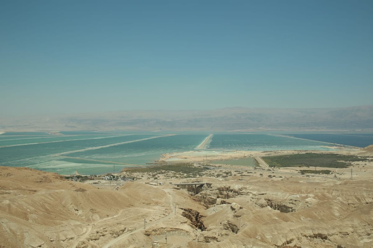 טיול דרך המצלמה לים המלח והנחלים באזור